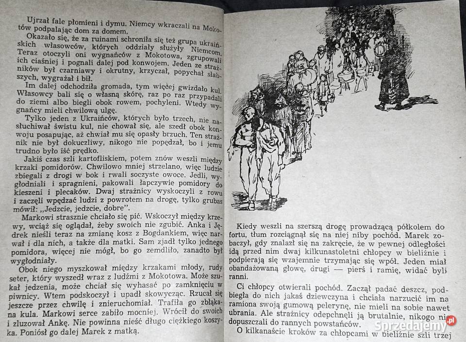 Wrócimy razem Maria Niklewiczowa Pozostałe lubelskie