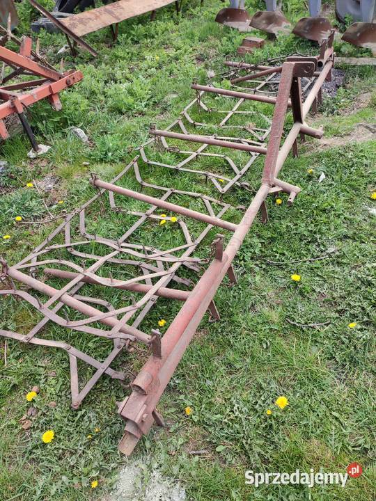 Bronki brony lekkie ziemniakach Gołuchów