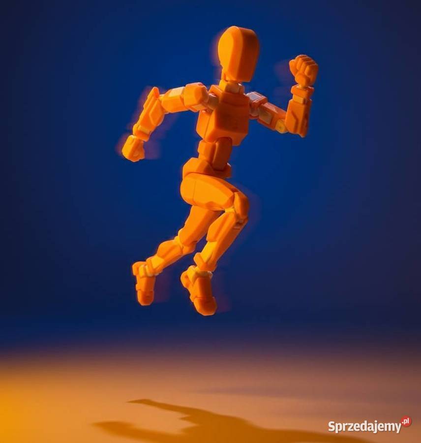Dummy 13 Duża Figurka 3D 20 z PETG 20 Akcesoriów Krzyszkowice