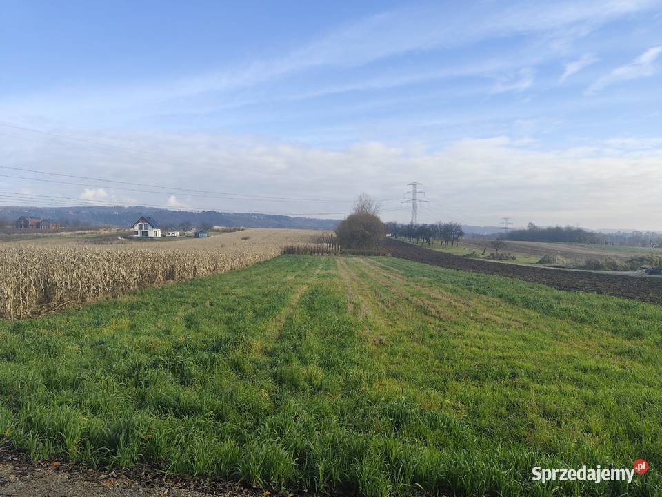 Działka budowlana 315a Kobylany Kasztanowa