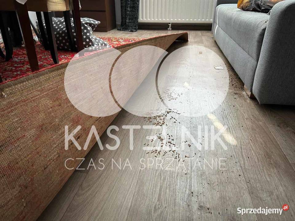 Sprzątanie zgonach KrynicaZdrój Dezynfekcja Usługi Krynica-Zdrój