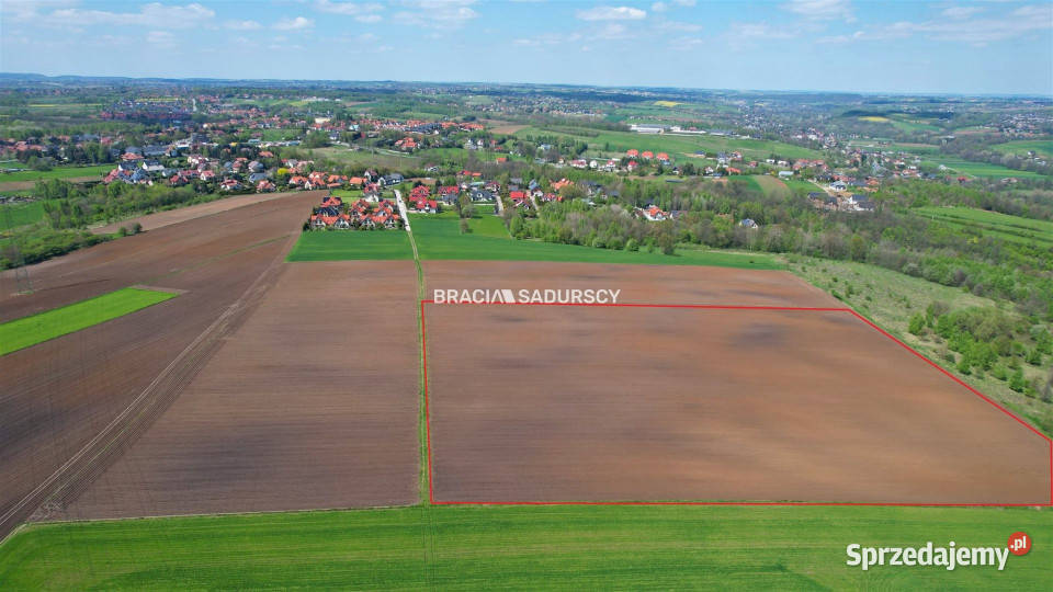 Działka 30420m2 Młodziejowice sprzedam