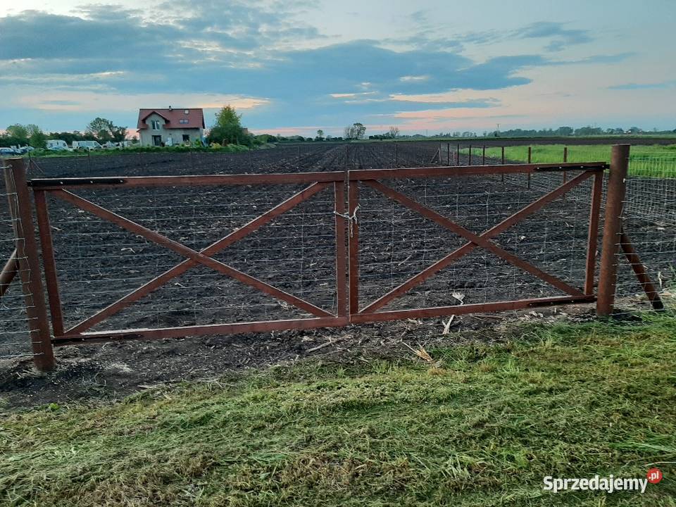 Komplet brama tymczasowa budowlana techniczna drewno Bydgoszcz