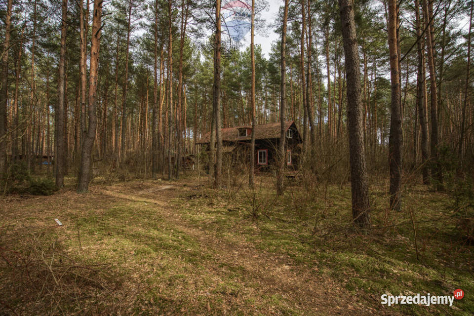 Sprzedażdziałka z MPZP1900 m2Łosie Radzymin sprzedam