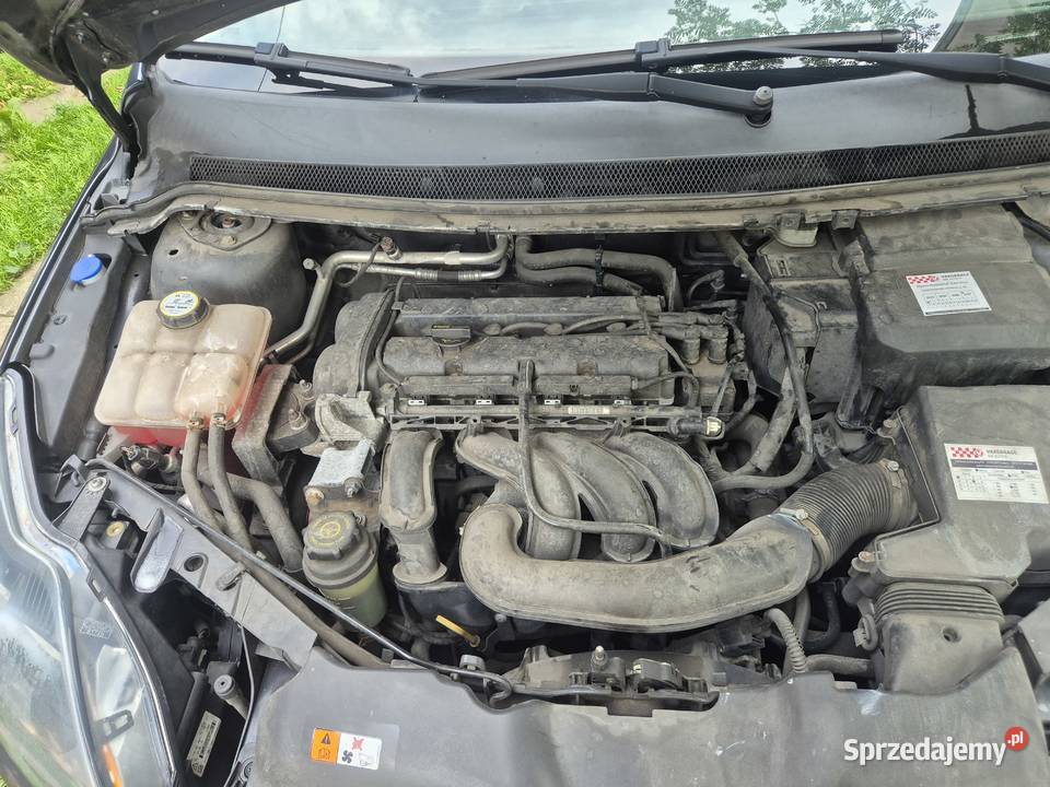 Ford Focus kombi 16 Benzyna 101 Super stan Focus łódzkie