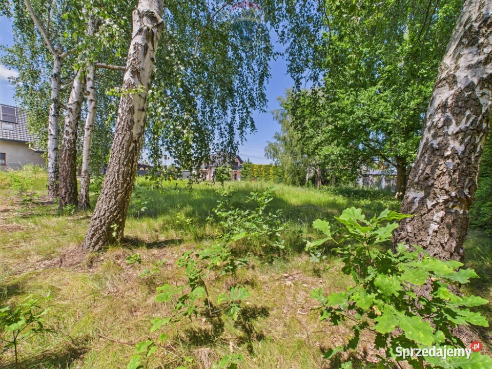 działka budowlana na sprzedaż w Żorach Żory