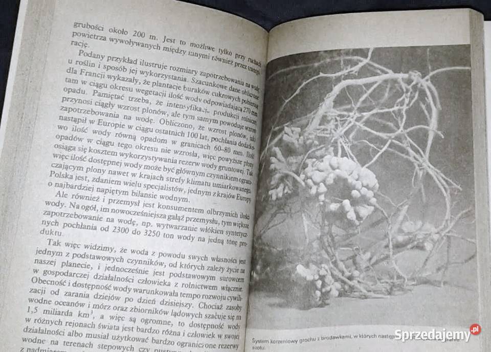 Laboratorium przyrody Andrzej Anioł lubelskie Chełm sprzedam