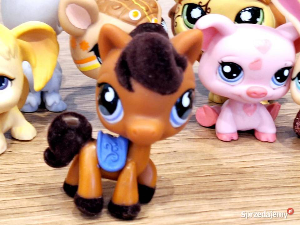 Koń zamszowany Littlest Pet Shop warmińsko-mazurskie Braniewo