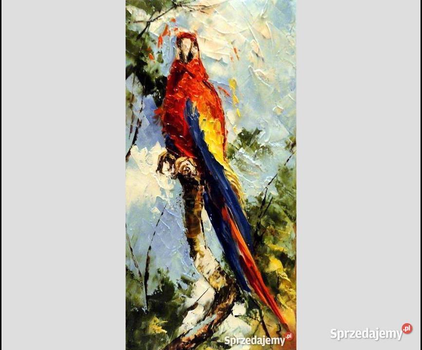 Obraz olejny 20x40 Papuga Warszawa sprzedam