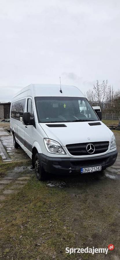 Mercedes Sprinter opolskie Wilków