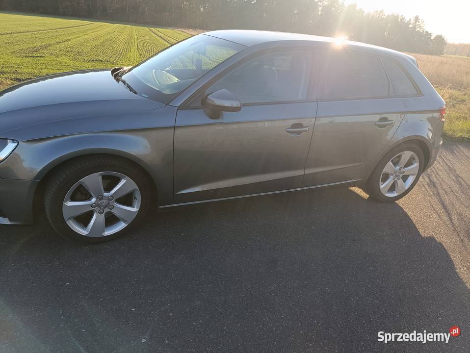 Audi A3 2013 14 tfsi Orginalny lakier Pierwszy Czosnówka
