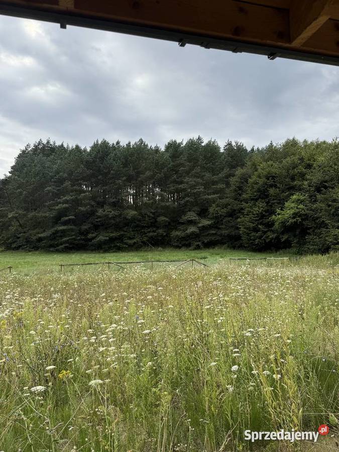 Dom całoroczny jeziorem i obok lasu niedaleko 1 piętro warmińsko-mazurskie Iława