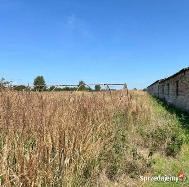 sprzedaży działki Marianowo 8200m2