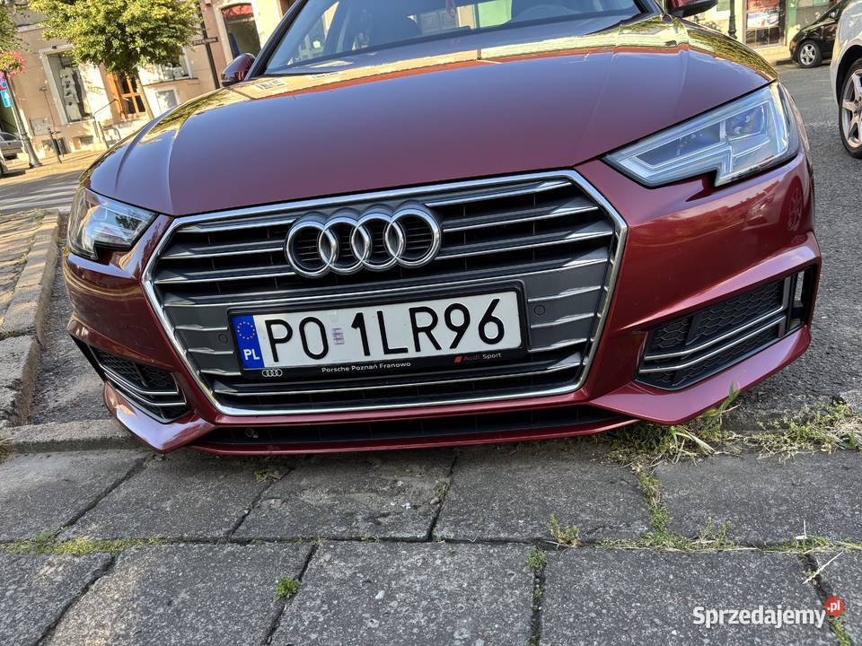 Audi A4 B9 20TDI Stronic wielkopolskie Grodzisk Wielkopolski