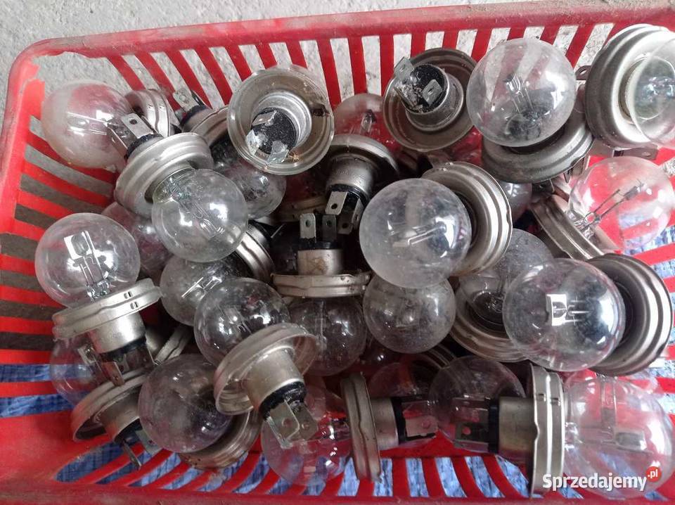 Boczki drzwi Polonez Borewicz Caro akwarium Lublin