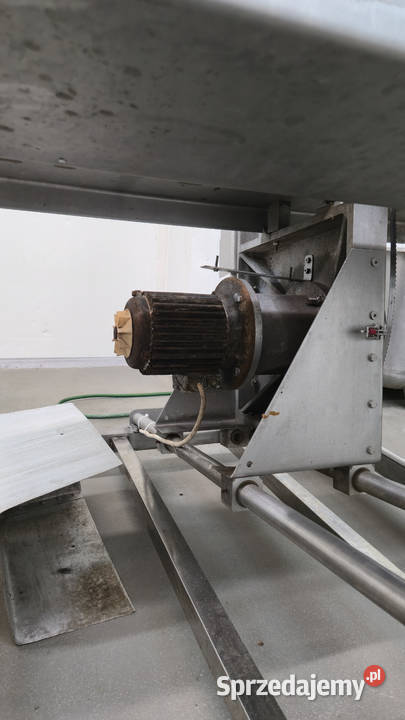 Piła z prowadnicą do ryb mięsa Produkcja