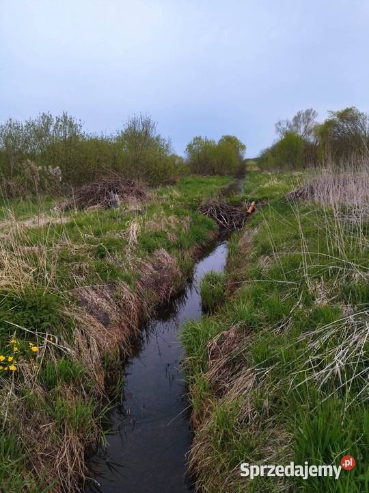 Działka budowlana z dostępem do linii brzegowej Lesiska