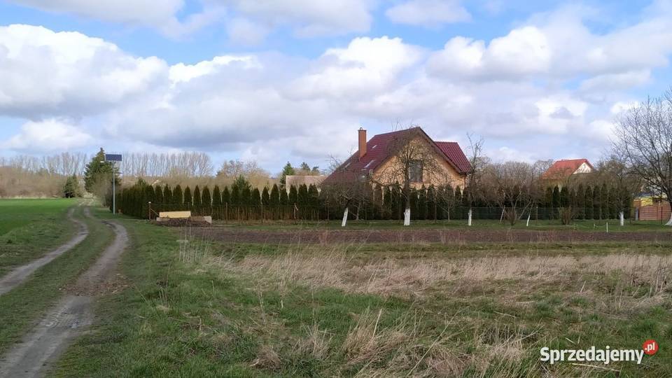 działka Przybiernówko rolna sprzedam