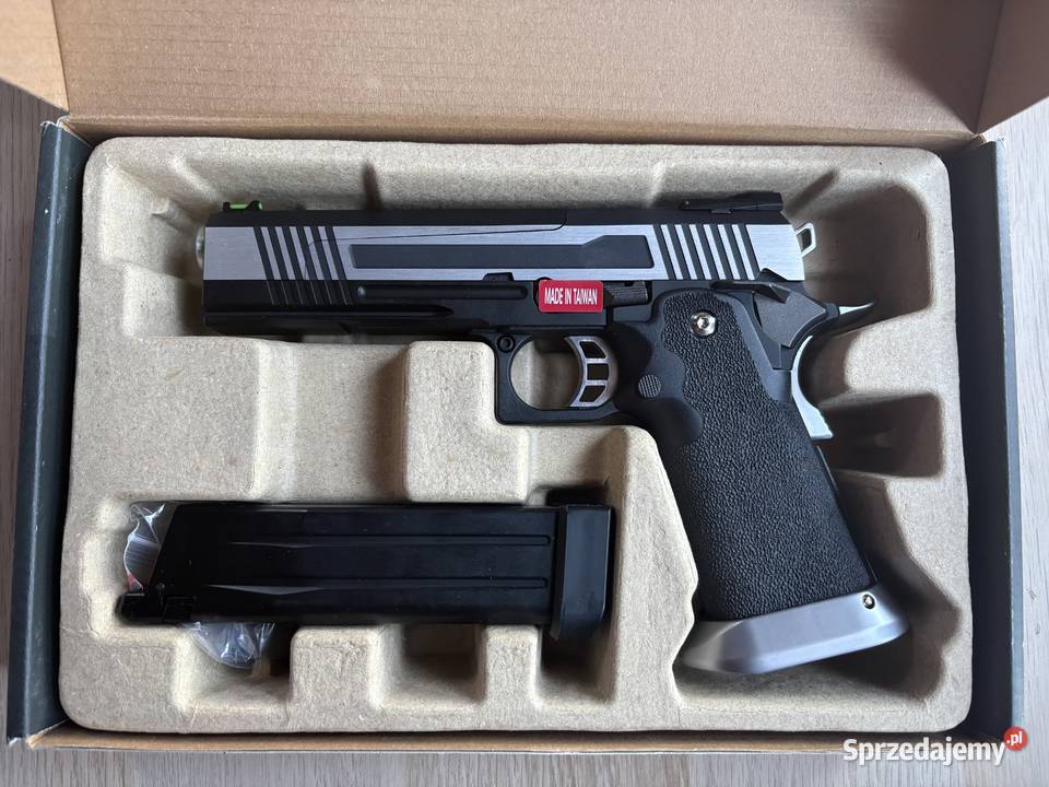 Replika ASG HX1001 Golub-Dobrzyń