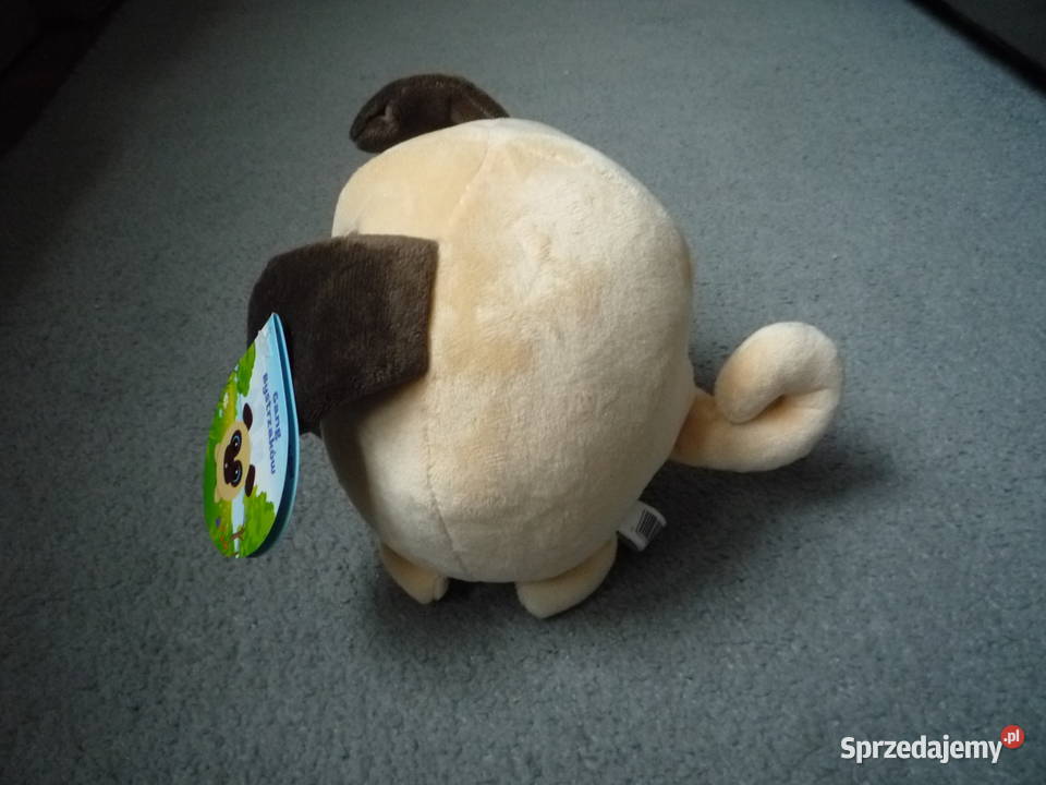 Gang bystrzaków pies Dżipies Maskotka z Szczecin