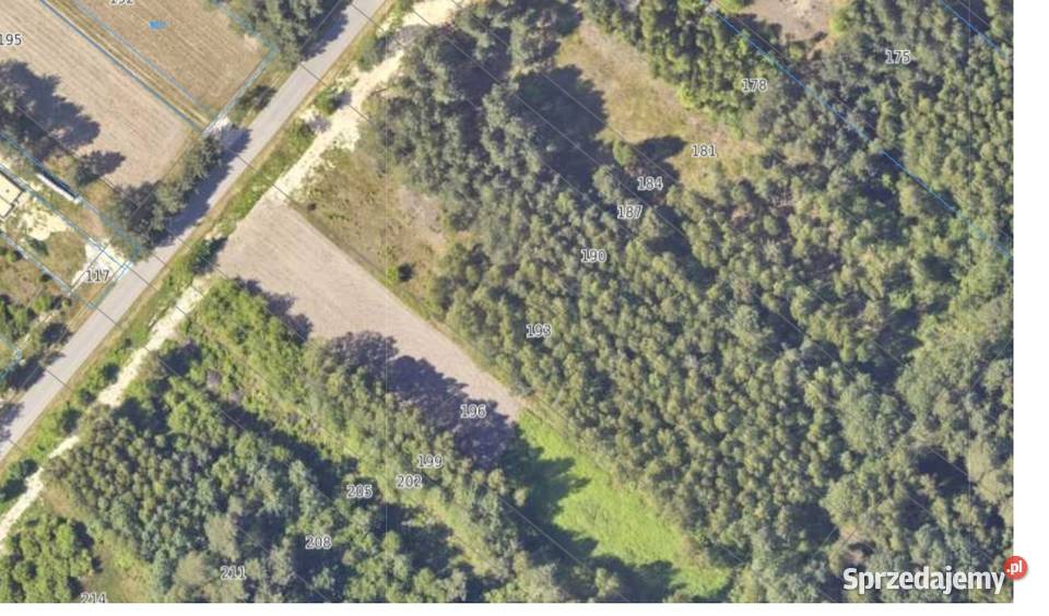 działka budowlana w Andrzejówce 4200m2 z Andrzejówka sprzedam