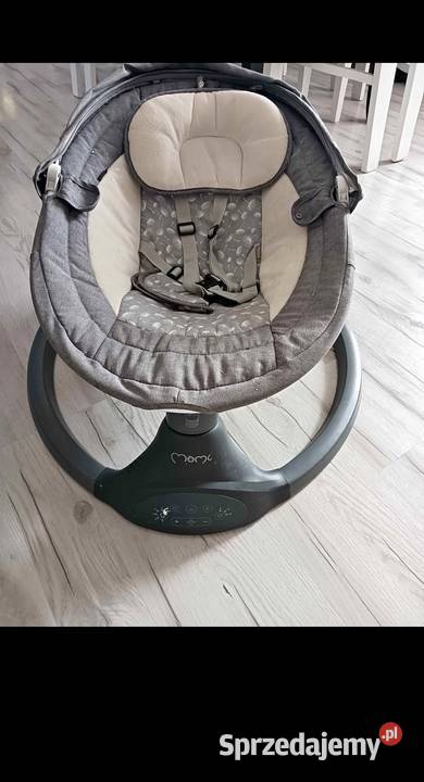 Bujaczek elektryczny MoMi Kenani Szamotuły