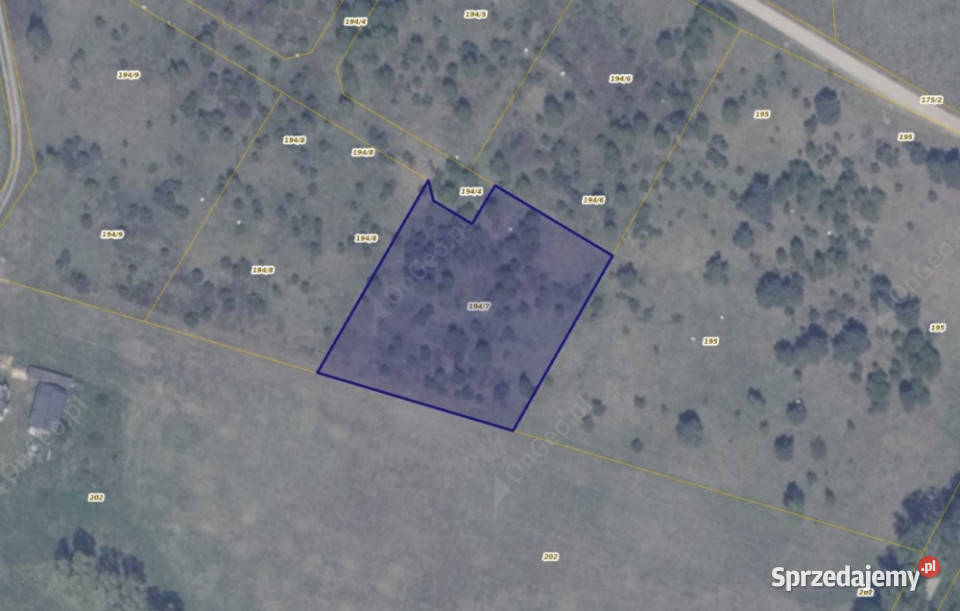 Działka 1947 w Ełganowie Ełganowo