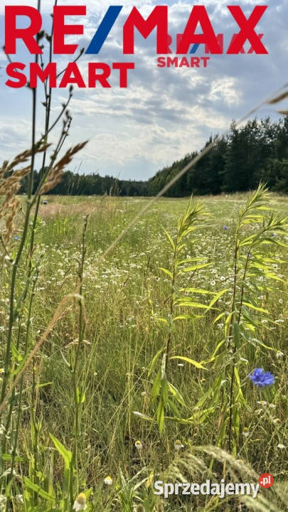 działka budowlana w otoczeniu lasu utwardzona sprzedam