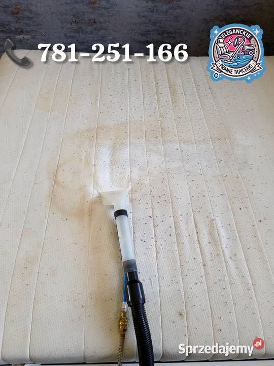 Pranie tapicerki meblowej i samochodowej z Dęblin