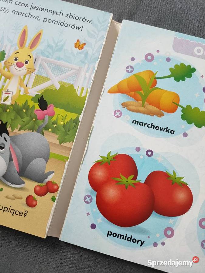 książeczki dzieci bajki edukacja ZESTAW 15 SZTUK Szczecin