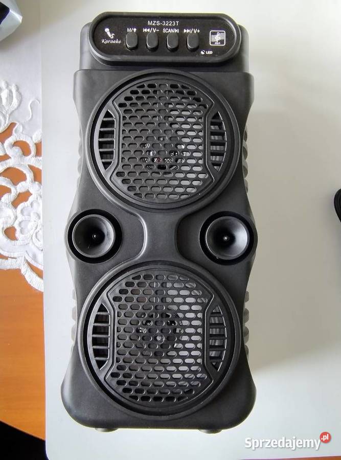 Przenośny głośnik dwudrożne Głośniki Żory