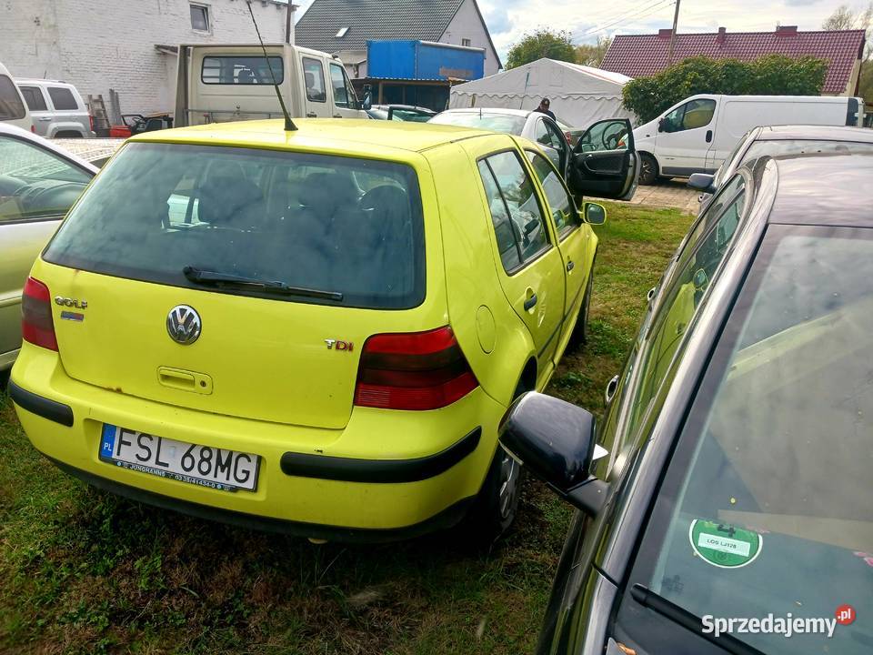 Golf lubuskie Ośno Lubuskie