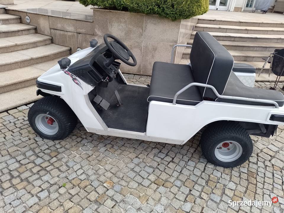 wózek elektryczny typy melex Micigózd