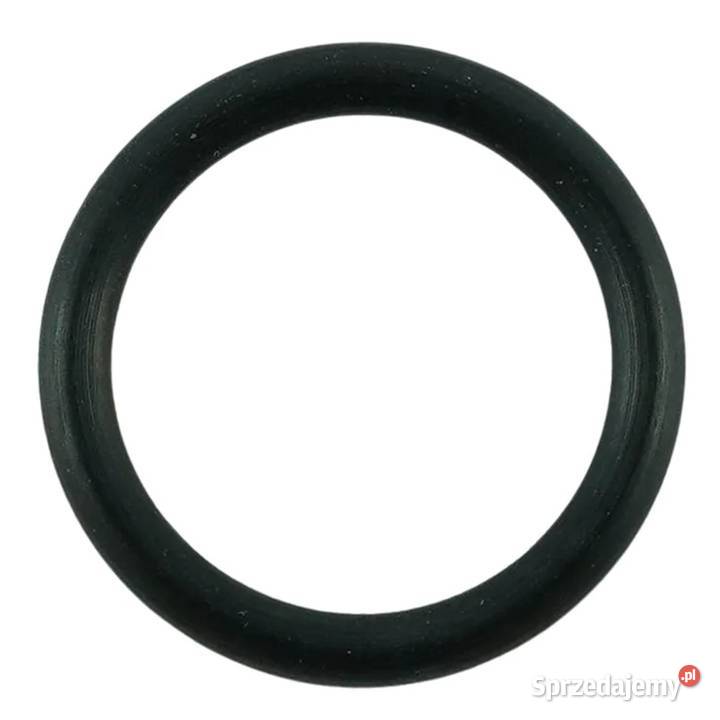 Oring 20 x 3 mm LS MT 125 LS XJ 25 40195048 Tajęcina