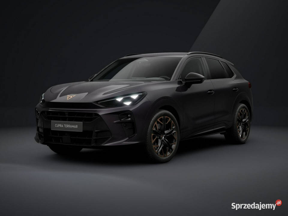 Cupra Terramar Advantage Edition 20 TSI 204 DSG ABS