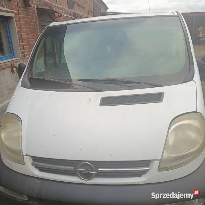 Opel Vivaro dolnośląskie Żmigród