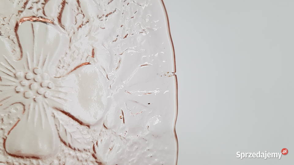 Talerzyk i talerz Anemony Ząbkowice kolorowe Dąbrowa Górnicza