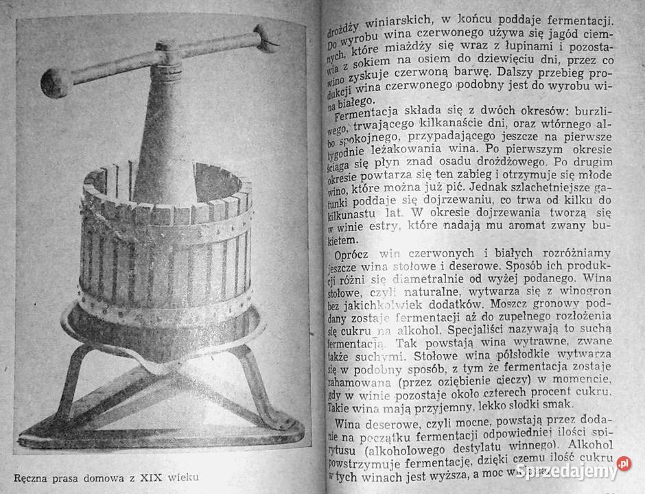 Wino Wszystko o Wera Sztabowa Pozostałe Chełm sprzedam