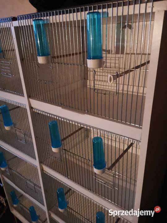Klatki legowe małej egzityki Chorzów sprzedam