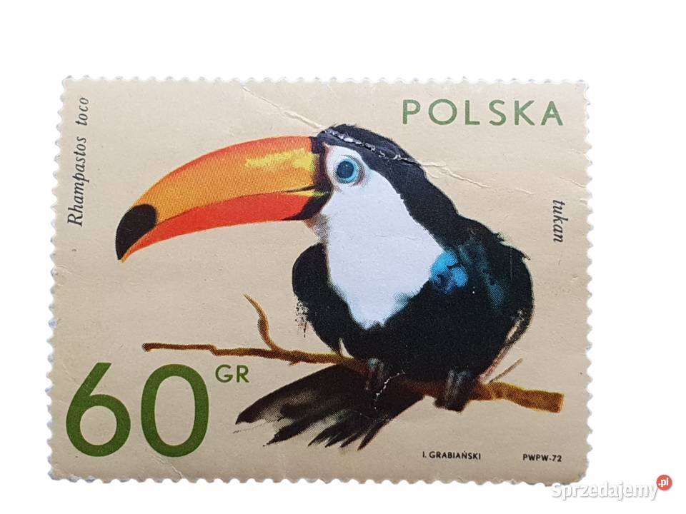 Stary znaczek pocztowy Polska 1972 Tukan 60 gr śląskie