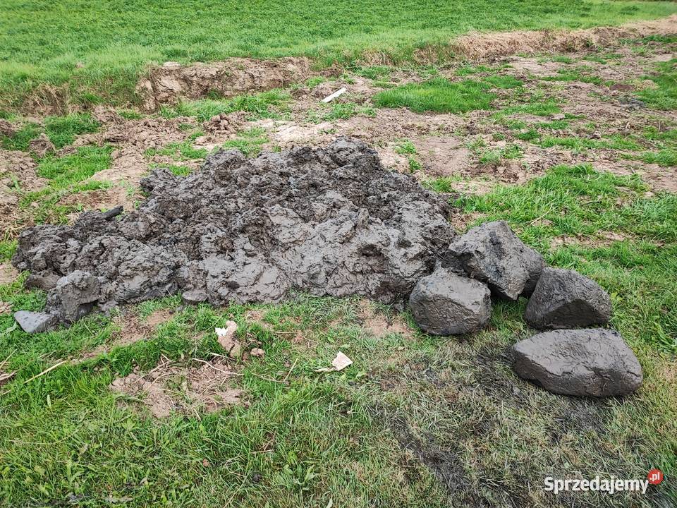 Czyszczenie odmulanie odkażanie studni Boboszów