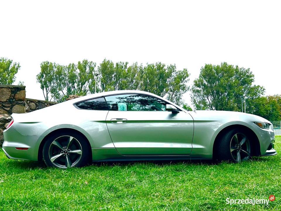 Mustang 37 2016 benzyna łódzkie Skierniewice