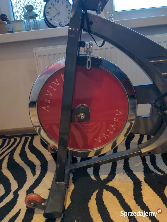 Rower treningowy wyczynowy Asviva dużo regulacji Sprzęt do ćwiczeń Wólka Brzózka