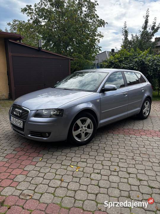 Audi A3 8P Sportback 19tdi A3 Nisko