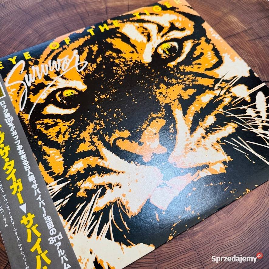 Eye Of The Tiger Ost survivor NMNM Japan Obi LP pomorskie Gdańsk