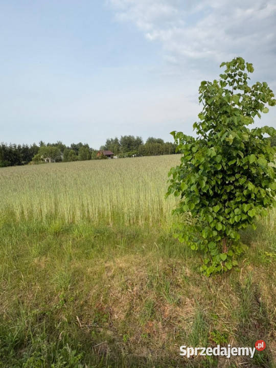 Sprzedam działkę budowlaną 1760m Kownaty gm