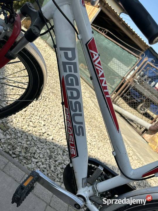 Rower damski Pegasus Przysieki