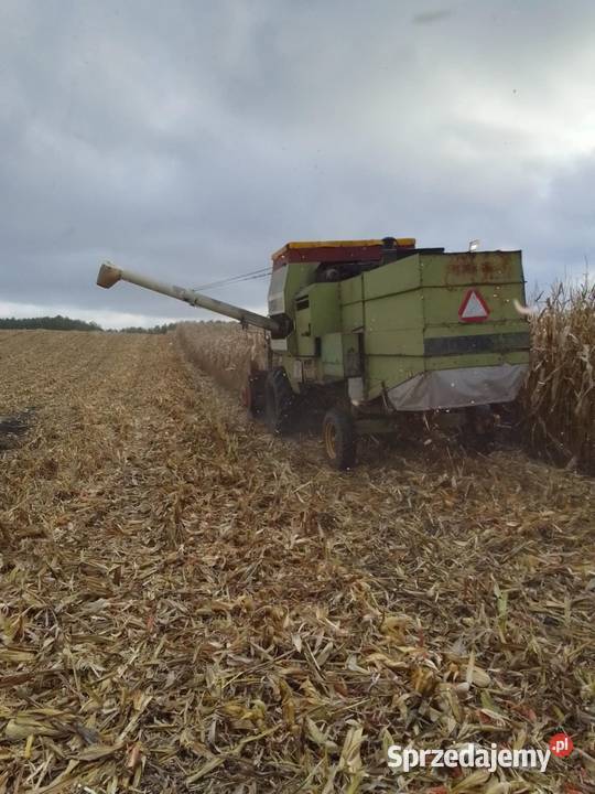 Fortschritt e514 MDW kombajn heder 42m Sośno sprzedam