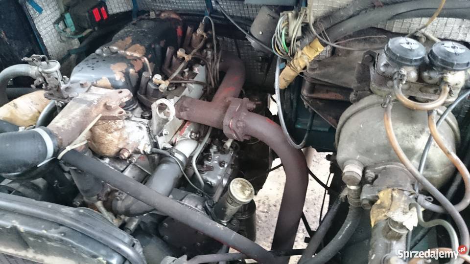 Tarpan 239 D 100 oryginał diesel Syców