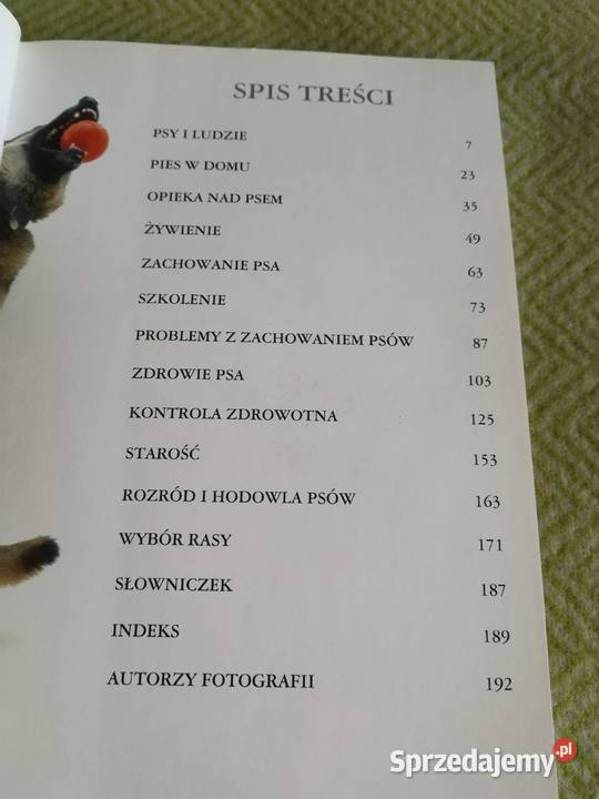 Pies Poradnik opiekuna G Meadows E Flint Szczecin